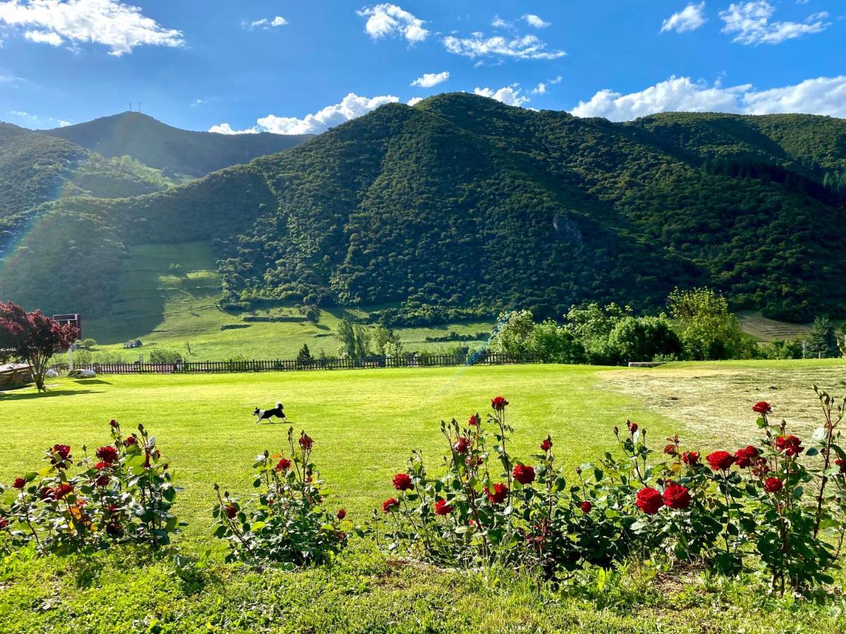 Casa Rural Alquitara Охедо Экстерьер фото